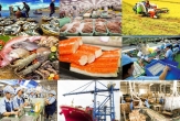 Effectively implementing solutions to boost exports in the final months of the year.