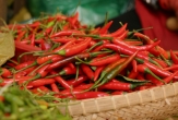 Vietnam continues to maintain its position as Taiwan (China)’s 8th largest trading partner.