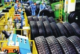 Tire exports to the EU: Bright prospects accompanied by mounting trade defense pressures