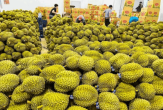 Fruit and vegetable exports post strong growth, with durian continuing to lead the surge.