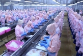 Despite international trade fluctuations, a delegation of major U.S. and American enterprises will visit Vietnam to seek partners.