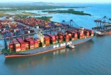 Establishment of an Appraisal Council for the Investment Policy of the Cái Mép Hạ Port Complex Project