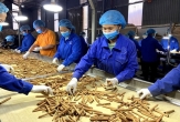 22 tons of Vietnamese cinnamon returned by Poland, businesses urged to tighten quality control