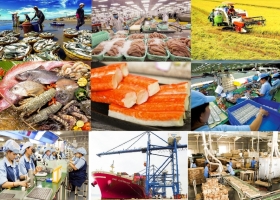 Effectively implementing solutions to boost exports in the final months of the year.
