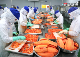 Fruit and vegetable exports surge nearly 73%, sector accelerates from the start of the year