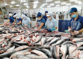 Seafood exports diverge by market: China surges while the U.S. slows