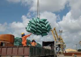 Solutions to remove obstacles and promote rice exports