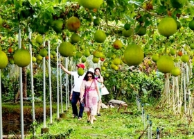 Developing sustainable ecological agriculture requires grounded policies