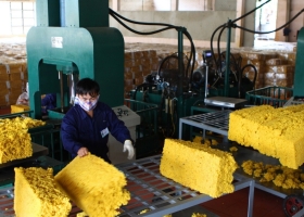 Despite the overall decline in Vietnam’s rubber exports, VRG continues to post an impressive breakthrough.