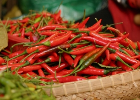 Vietnam continues to maintain its position as Taiwan (China)’s 8th largest trading partner.