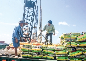 The food industry weathers a cost storm, pivots toward a value-driven race.