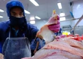 Vietnam–Singapore trade reaches a new record and a “leap forward” in seafood exports