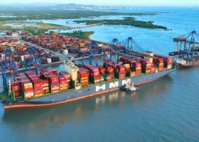 Establishment of an Appraisal Council for the Investment Policy of the Cái Mép Hạ Port Complex Project