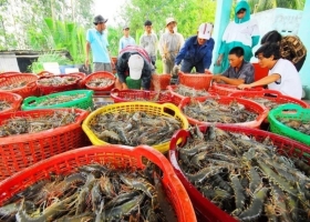 Seafood exports seek 