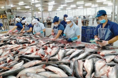 Seafood exports diverge by market: China surges while the U.S. slows