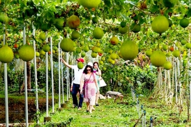Developing sustainable ecological agriculture requires grounded policies