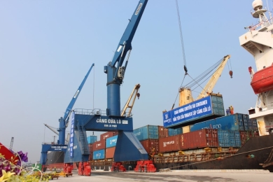 Nghe An plans to increase support for container transport via Cua Lo Port