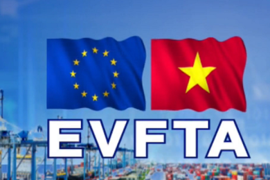 The Ministry of Industry and Trade is the focal agency responsible for the implementation of three major free trade agreements.