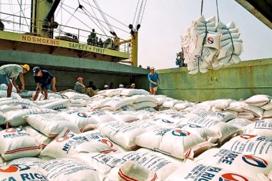 Vietnam’s Rice Exports in 2026: Leveraging FTAs and Standardizing High-Quality Production Zones