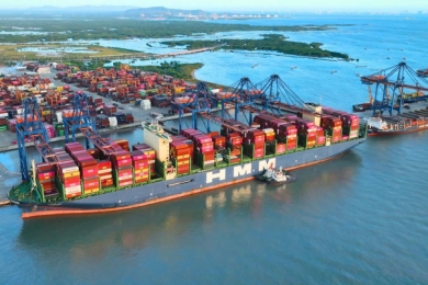 Establishment of an Appraisal Council for the Investment Policy of the Cái Mép Hạ Port Complex Project