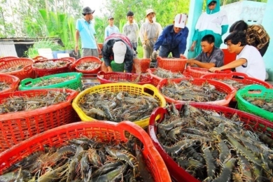 Seafood exports seek 